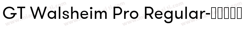 GT Walsheim Pro Regular字体转换